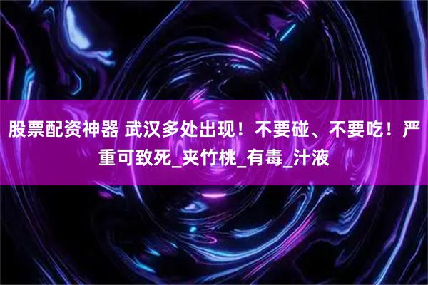 股票配资神器 武汉多处出现！不要碰、不要吃！严重可致死_夹竹桃_有毒_汁液