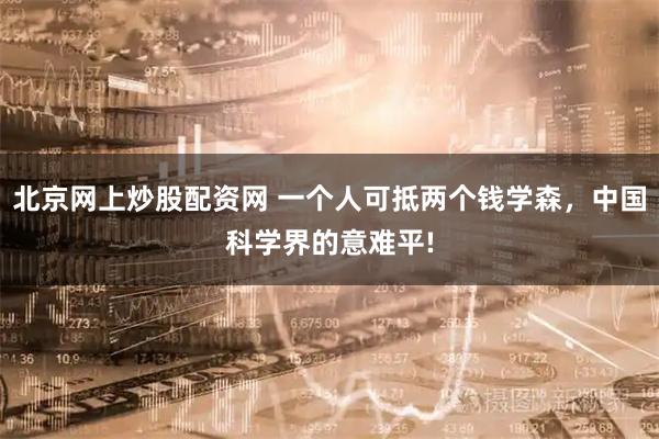 北京网上炒股配资网 一个人可抵两个钱学森，中国科学界的意难平!